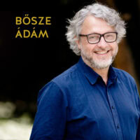 bosze carousel 1200x1200 1